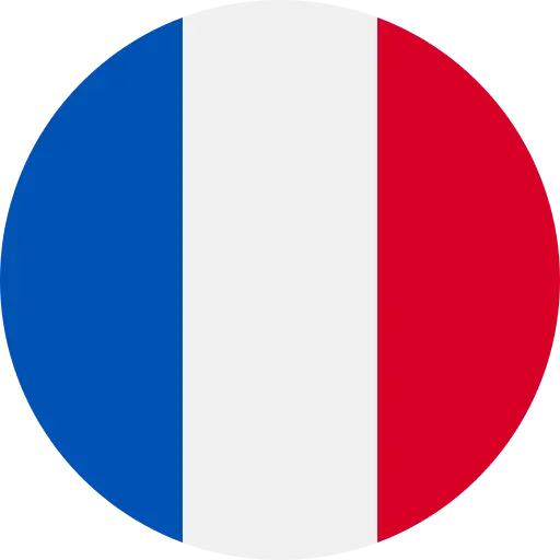 Bandera que representa idioma Francés